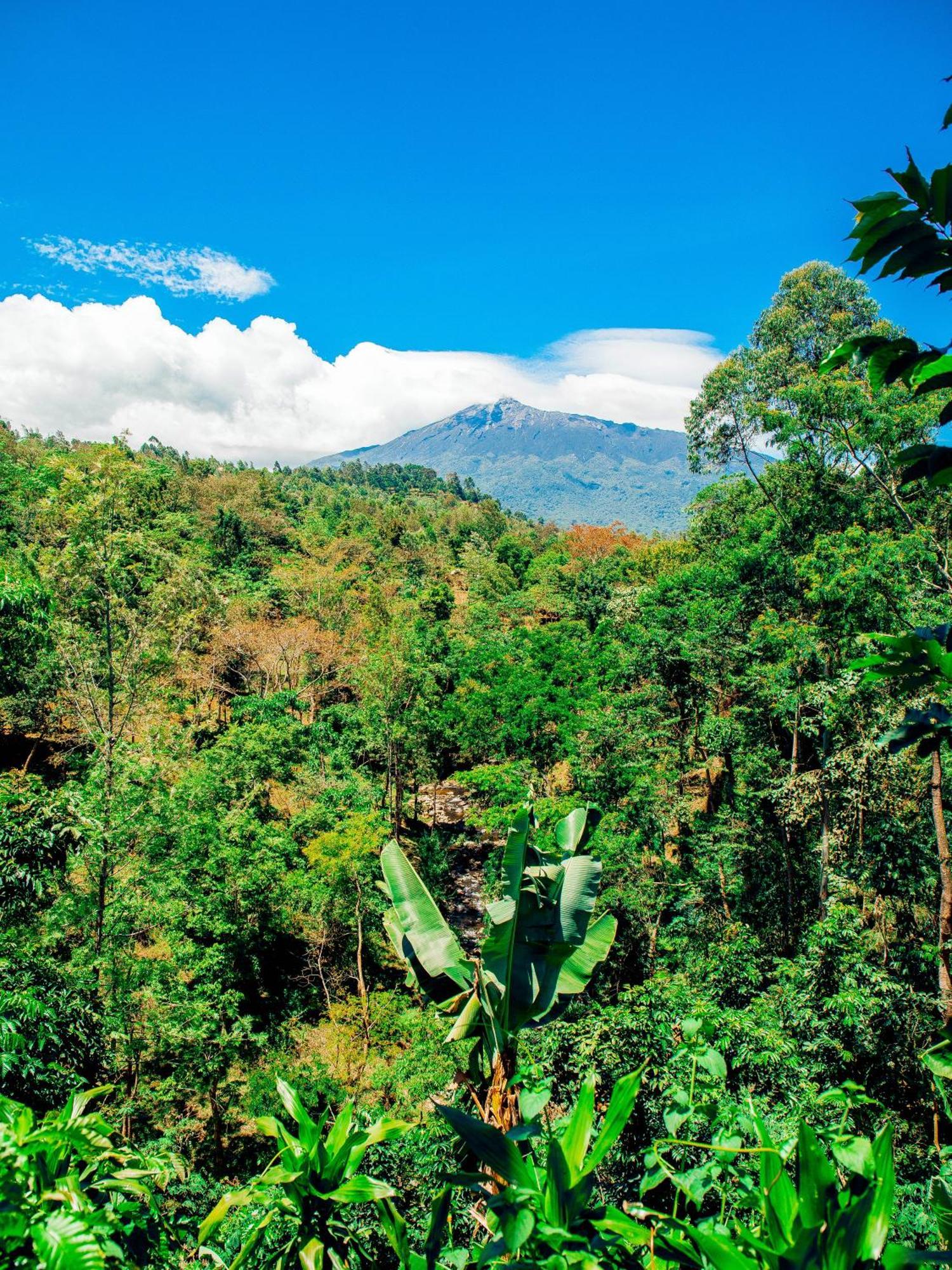 Arusha Jua Home Exteriér fotografie