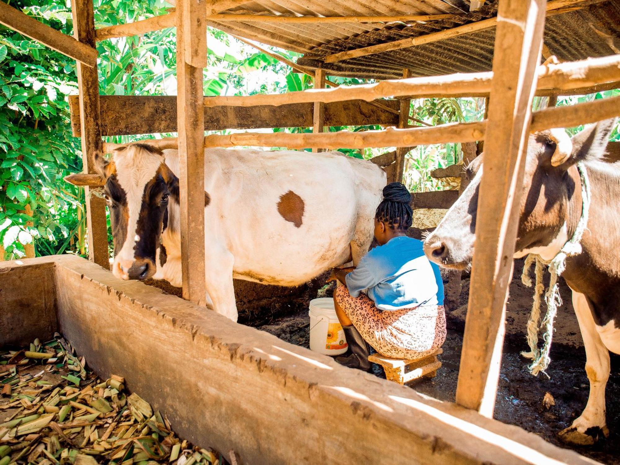 Arusha Jua Home Exteriér fotografie